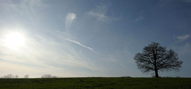 maggio